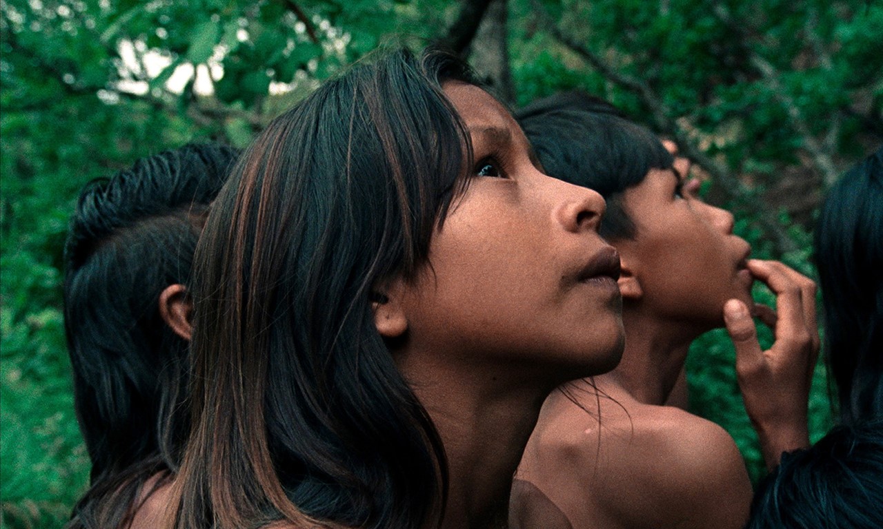 WINNING FILM: CINEVISION AWARD: THE BURITI FLOWER